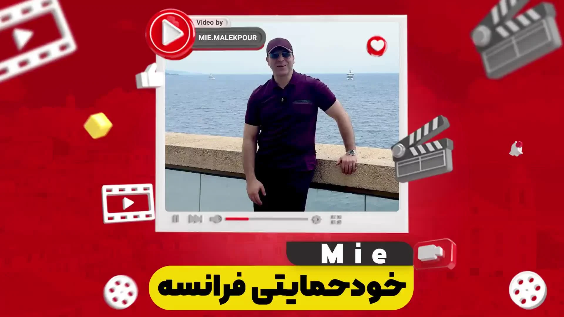 خودحمایتی فرانسه