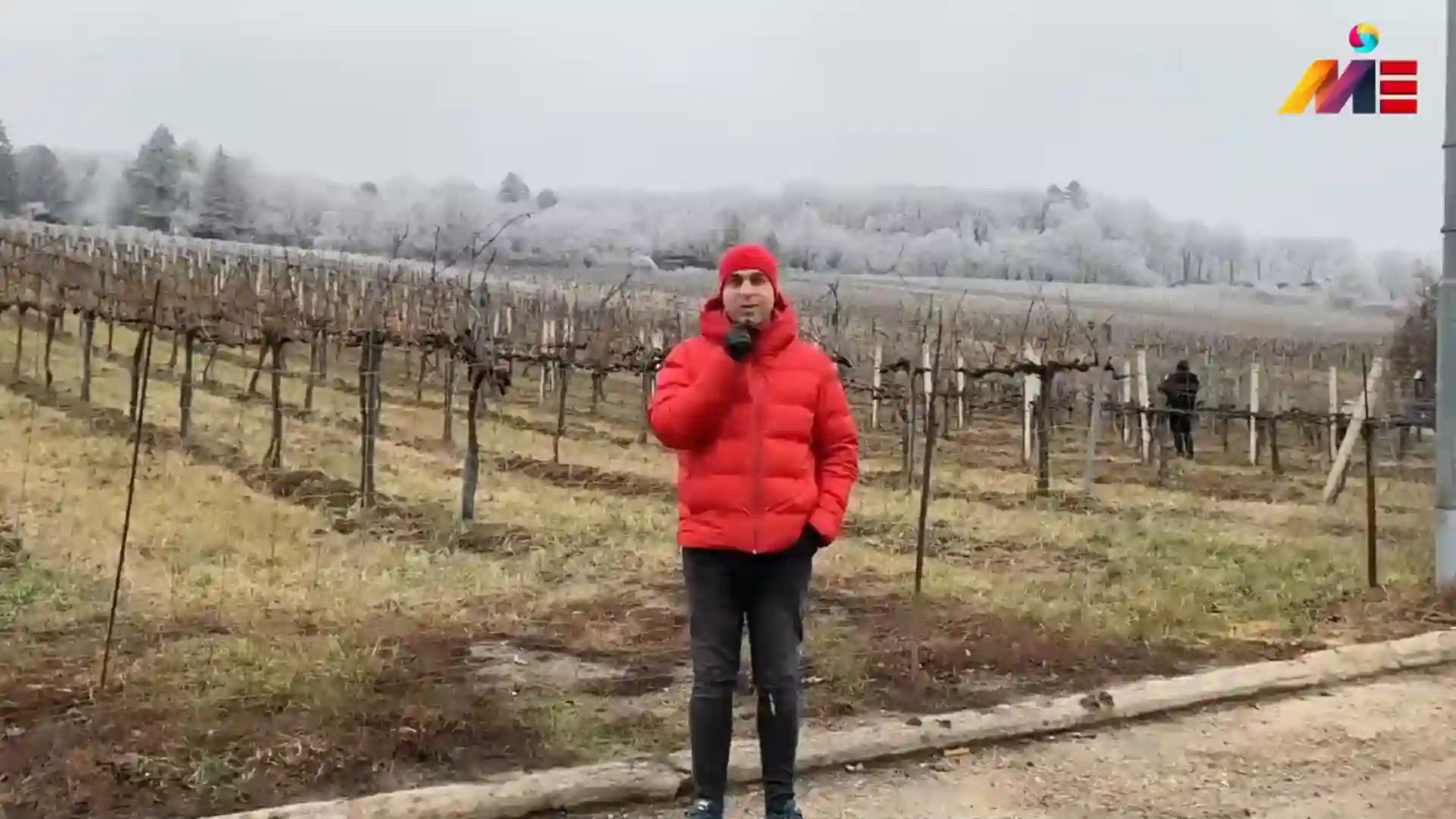 کار شرکت سوئیس